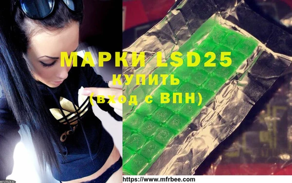 ПСИЛОЦИБИНОВЫЕ ГРИБЫ Верхний Тагил