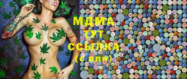 spice Богородицк