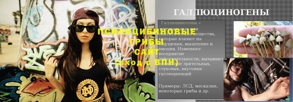 apvp Богородск