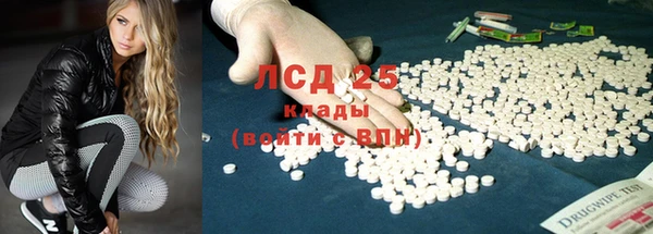 ПСИЛОЦИБИНОВЫЕ ГРИБЫ Верхний Тагил