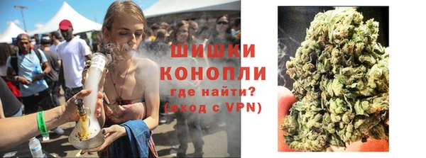 ПСИЛОЦИБИНОВЫЕ ГРИБЫ Верхний Тагил