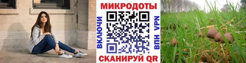 blacksprut как зайти  Калязин  Псилоцибиновые грибы прущие грибы  хочу  